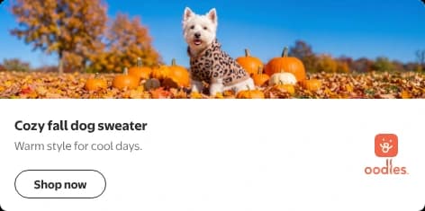 Brandbox desktop display ad: a wide photo of a Westie in the Oodles leopard print hooded sweater among pumpkins and fall leaves, above the headline Cozy fall dog sweater, the subhead Warm style for cool days., a Shop now button, and the Oodles logo