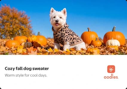 Brandbox mobile display ad: a photo of a Westie in the Oodles leopard print hooded sweater in a pumpkin patch, above the headline Cozy fall dog sweater, the subhead Warm style for cool days., and the Oodles logo