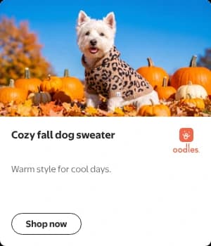 Gallery desktop display ad: a portrait card with a photo of a Westie in the Oodles leopard print hooded sweater among pumpkins, the headline Cozy fall dog sweater beside the Oodles logo, the subhead Warm style for cool days., and a Shop now button