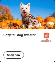 Gallery mobile display ad: a compact card with a photo of a Westie in the Oodles leopard print hooded sweater, the headline Cozy fall dog sweater beside the Oodles logo, and a Shop now button
