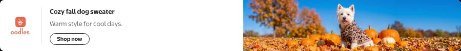 Marquee desktop display ad: the Oodles logo, the headline Cozy fall dog sweater, the subhead Warm style for cool days., and a Shop now button on the left, with a photo of a Westie in the leopard print hooded sweater among pumpkins on the right