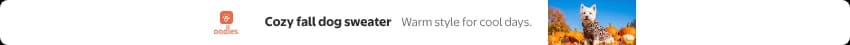 Skyline desktop V3 display ad: a slim banner with the Oodles logo, the headline Cozy fall dog sweater, the subhead Warm style for cool days., and a small inline photo of the Westie in the leopard print hooded sweater