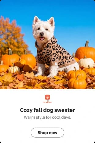 Tile desktop display ad: a tall card with a photo of a Westie in the Oodles leopard print hooded sweater among pumpkins, above the Oodles logo, the headline Cozy fall dog sweater, the subhead Warm style for cool days., and a Shop now button